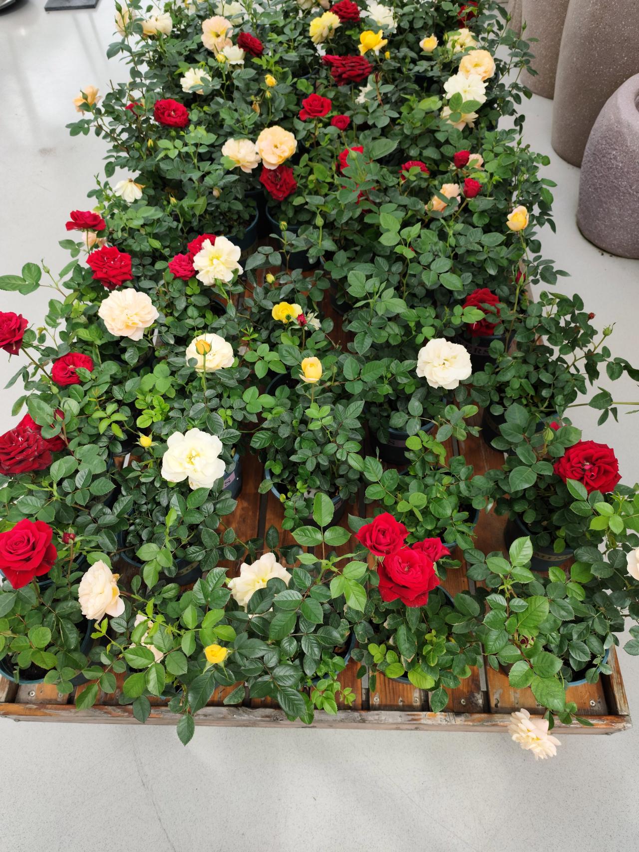 记录我的2026漫时光，轻生活