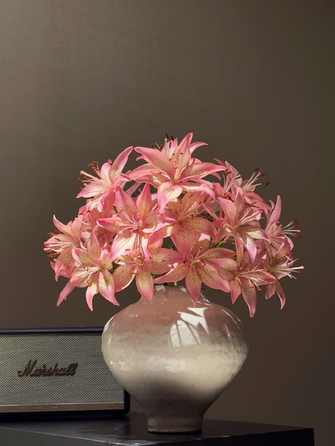 [2026]“好好生活 以此来回报爱你的人 也以此去回应伤害你的人” 