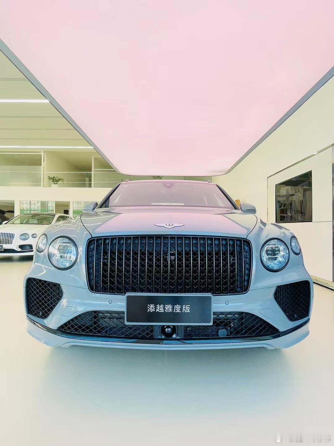 添越V8雅度（寒武岩灰） ​​​