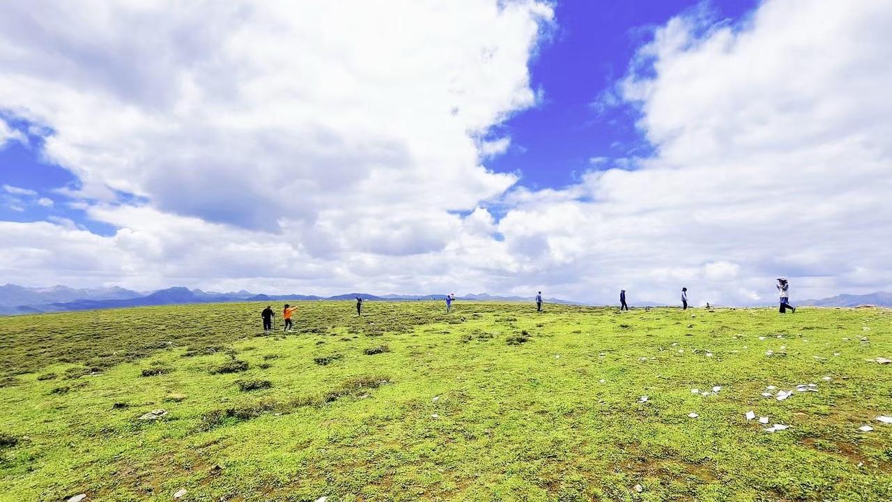 🥳这是大草原给的自由感！🌿山河远阔，满眼青绿，站在天地间，心也跟着开阔起来。