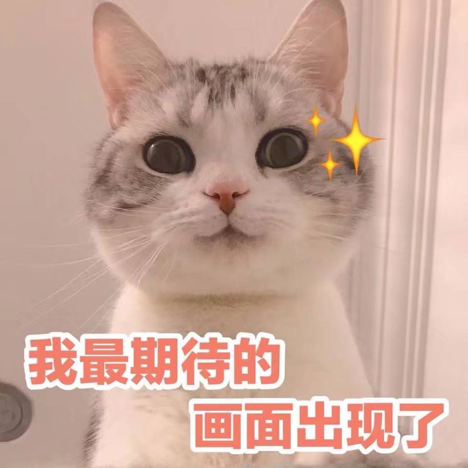关注并羊铁，连评3天以上。防官宣幺鹅子。芭比波朗  网页链接6.3  10:00