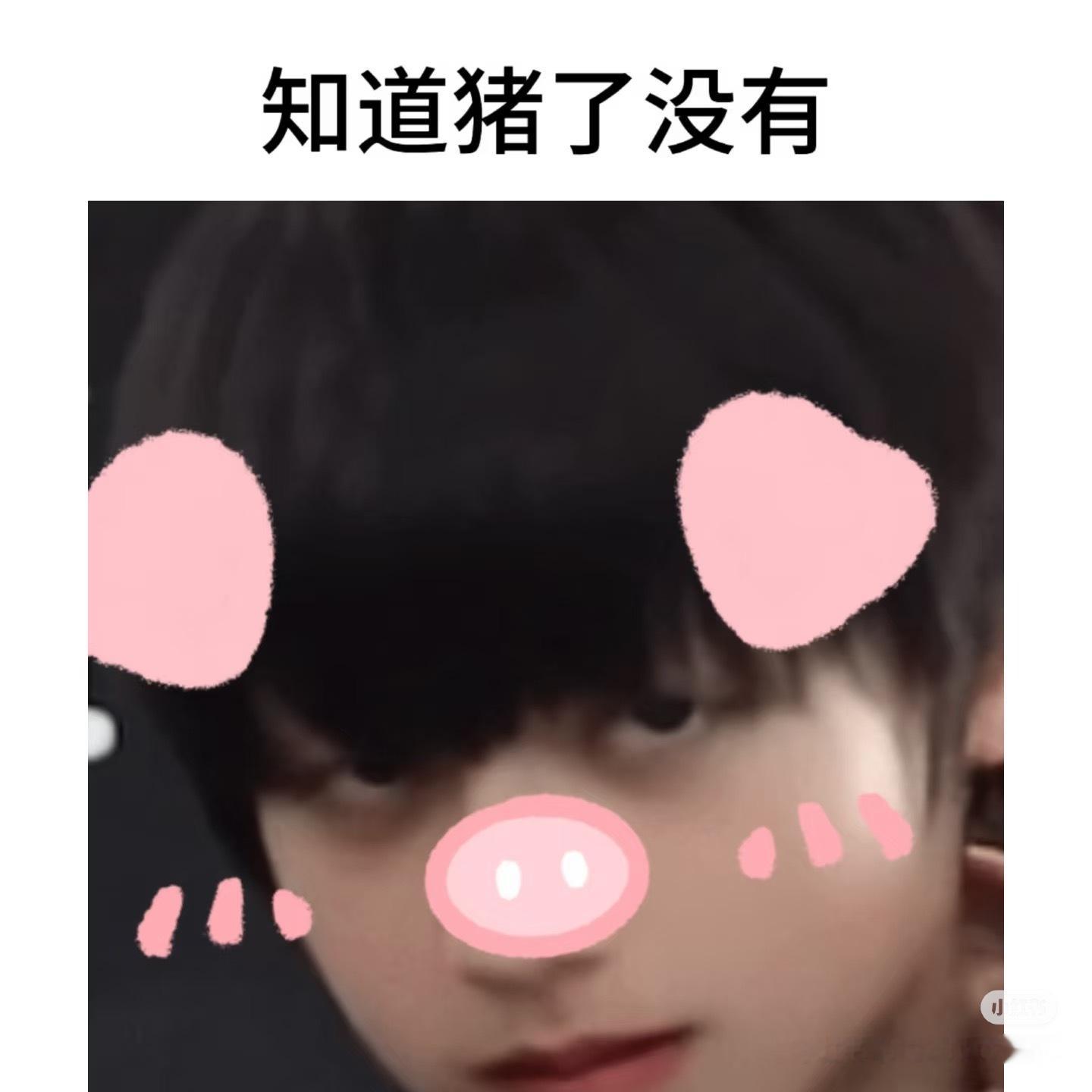 掌上明猪呀 ʚ ˃̶͈🐽˂̶͈ ɞ ​​​