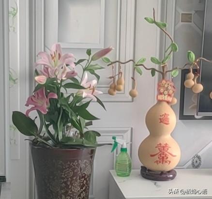 我是1992年参加高考的，距今已经有34年之久。

我们那个年代的高考是先填志愿
