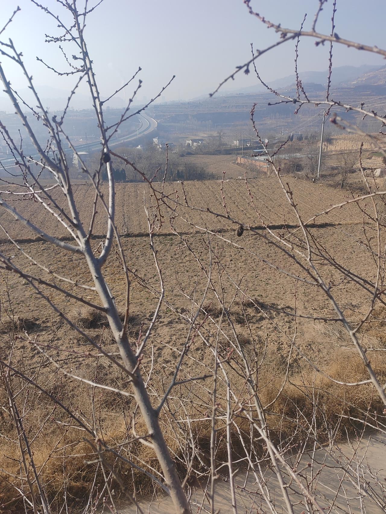 村子里有位老人，年轻时私下里会被叫那嫖风犯！
事实上，这家伙年轻时仗着手里有钱，