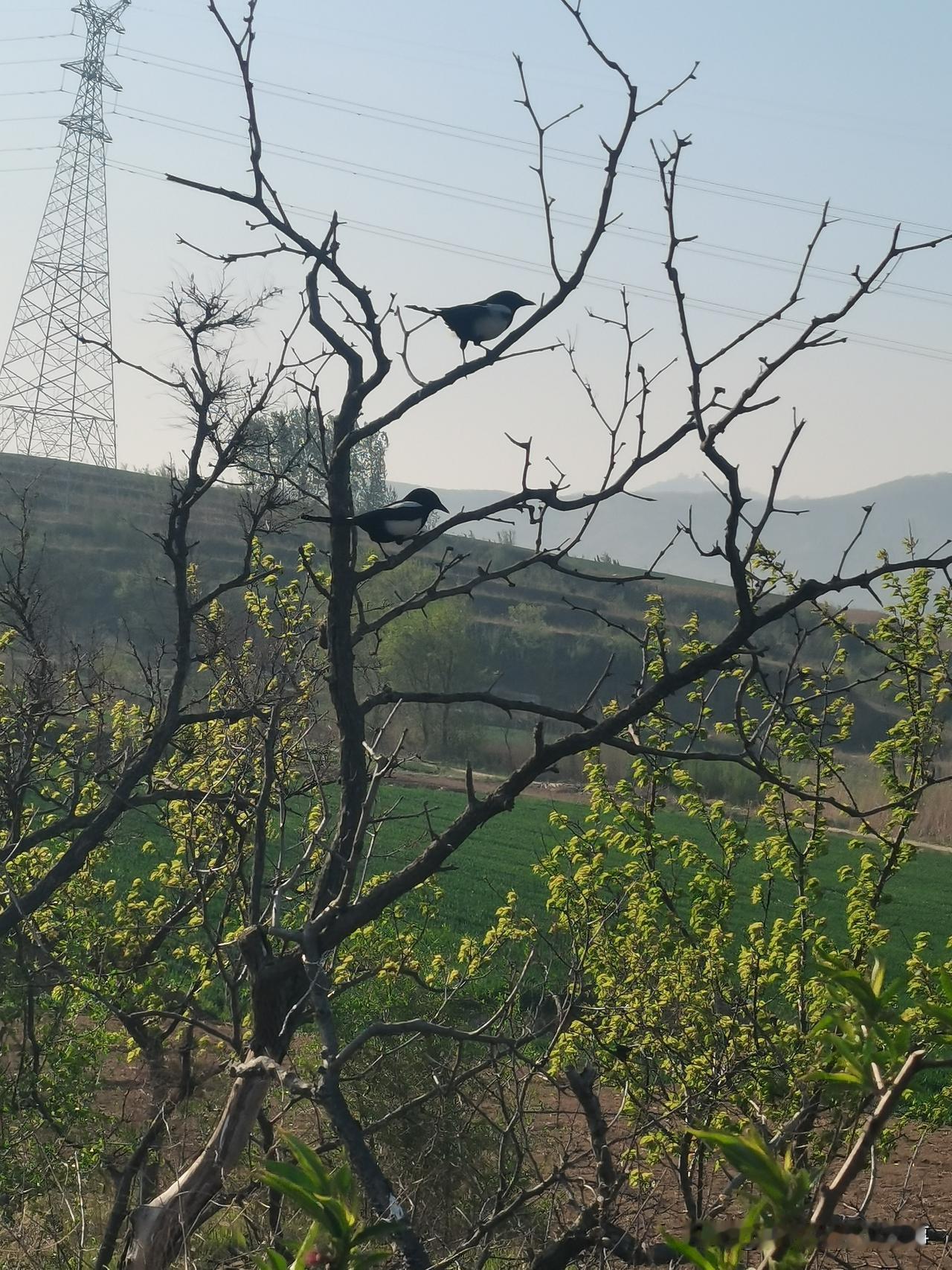 快坚持不下去了。
每天几分几毛的收益。越来越觉得再在这里浪费时间真不值得。
可以