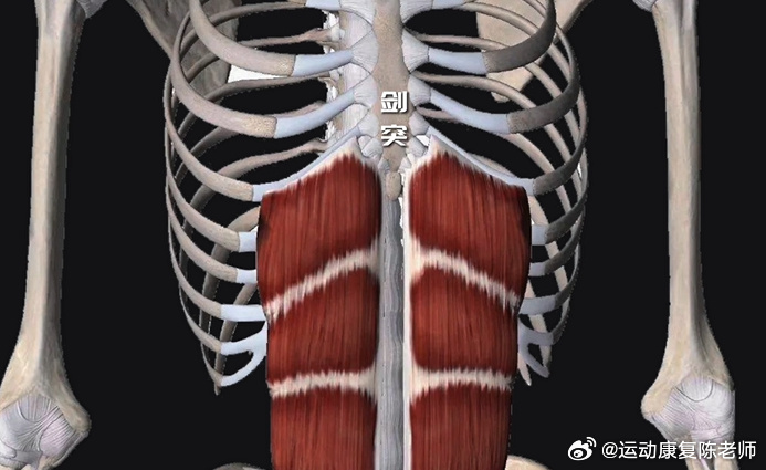 肩颈疼痛可能和腹肌有关 腹肌紧张，会影响呼吸模式，产生错误代偿，进而影响胸廓，导