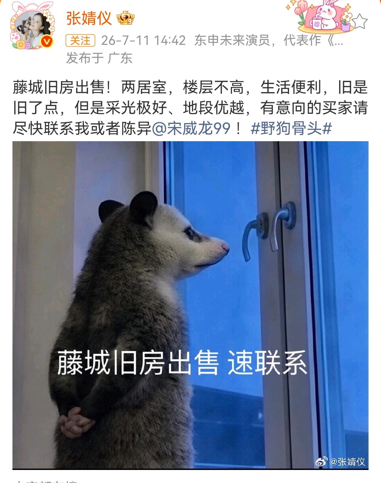 在外面的陈异：“疯狗”看到苗靖的陈异：巴普洛夫的狗 