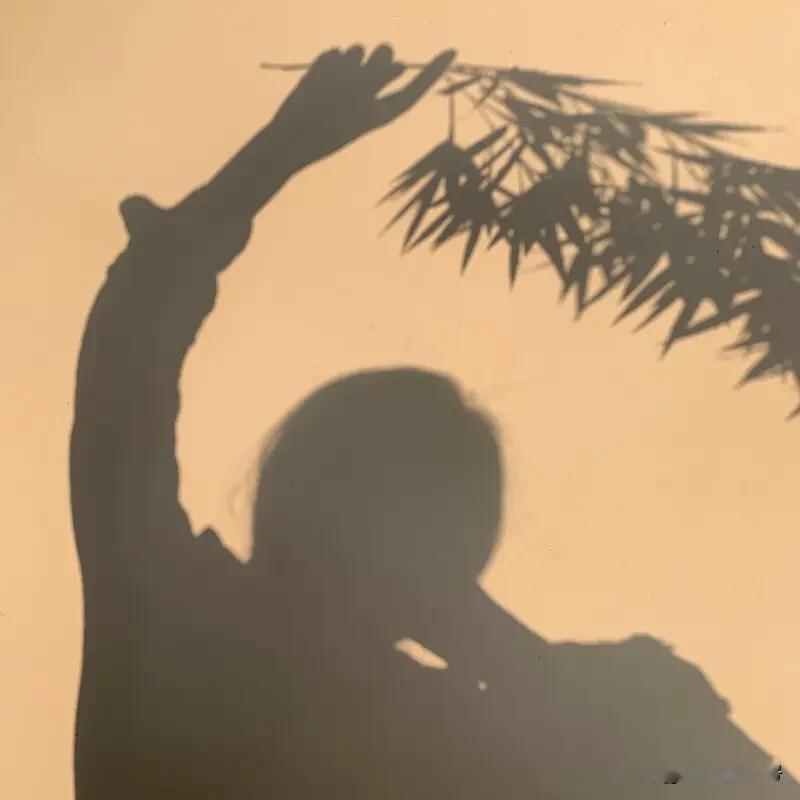 一个人打发时间的方式可太多了。我就超爱阅读，窝在沙发上看一本经典小说，像《百年孤