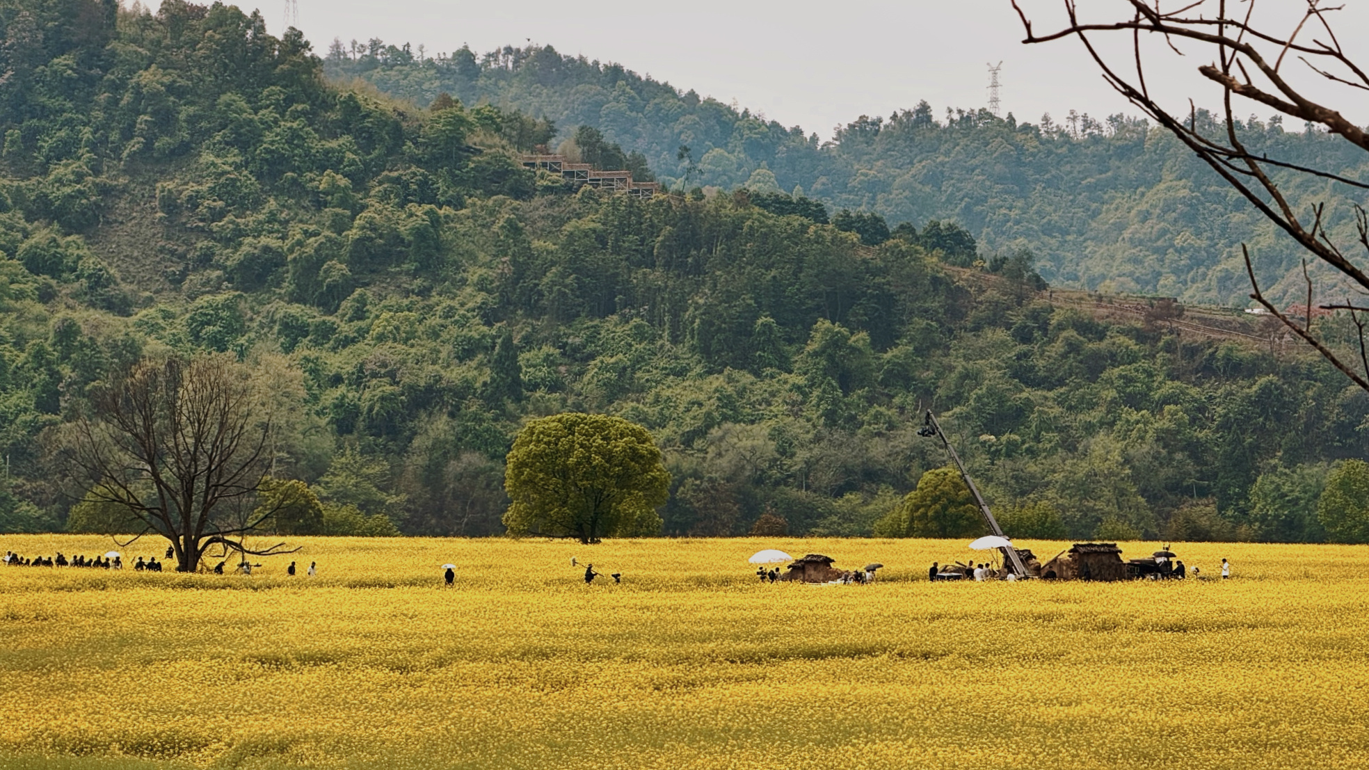 建德这个地方我是真的很推荐的…四季景色不同，又总是能有惊喜发现，像是很长的电影画