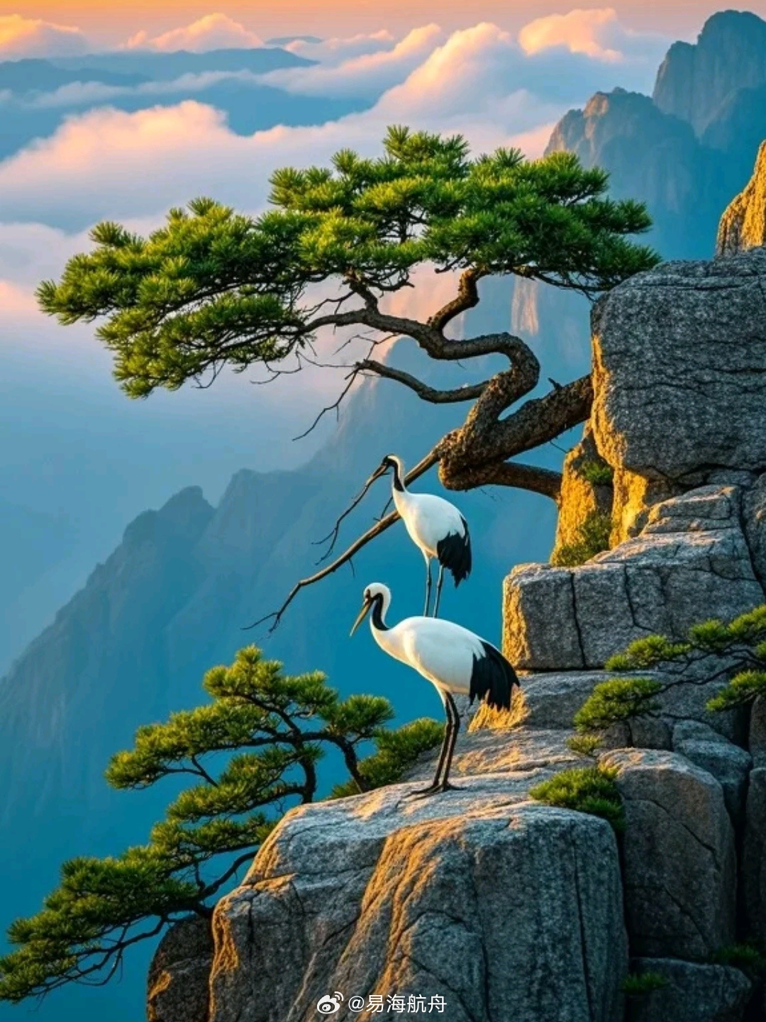 刷到仙鹤，8秒点赞别错过！别怀疑，一试就灵！快在评论区留言“鹤寿延年”，健康好运
