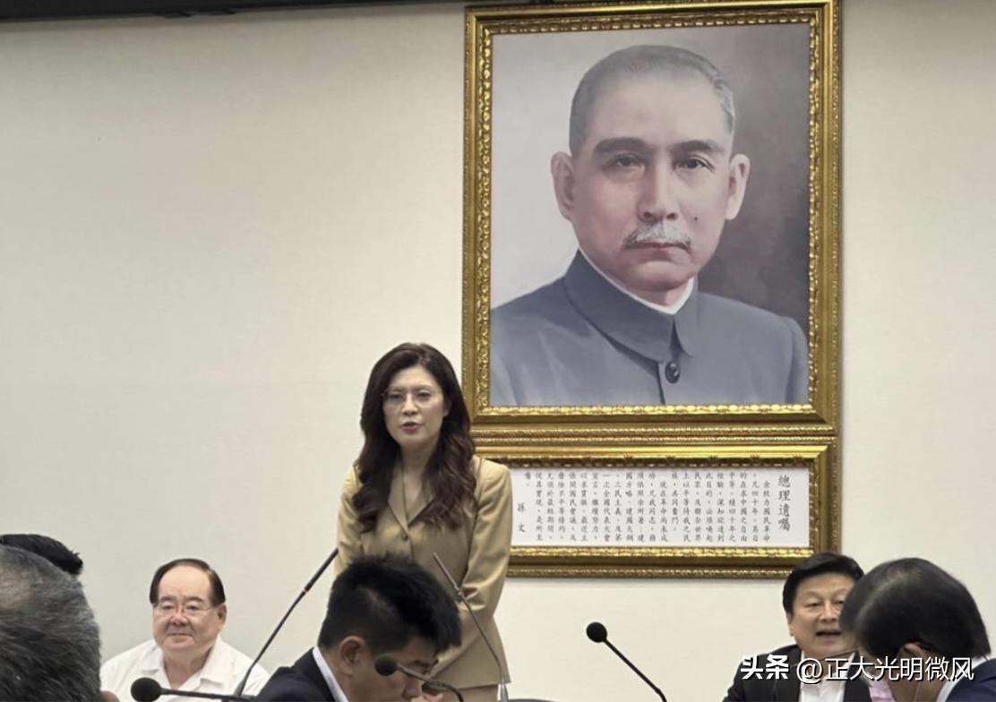 国民党主席郑丽文昨（25）日在中常会上痛批民进党动用“钞能力”操控舆论，直指绿营