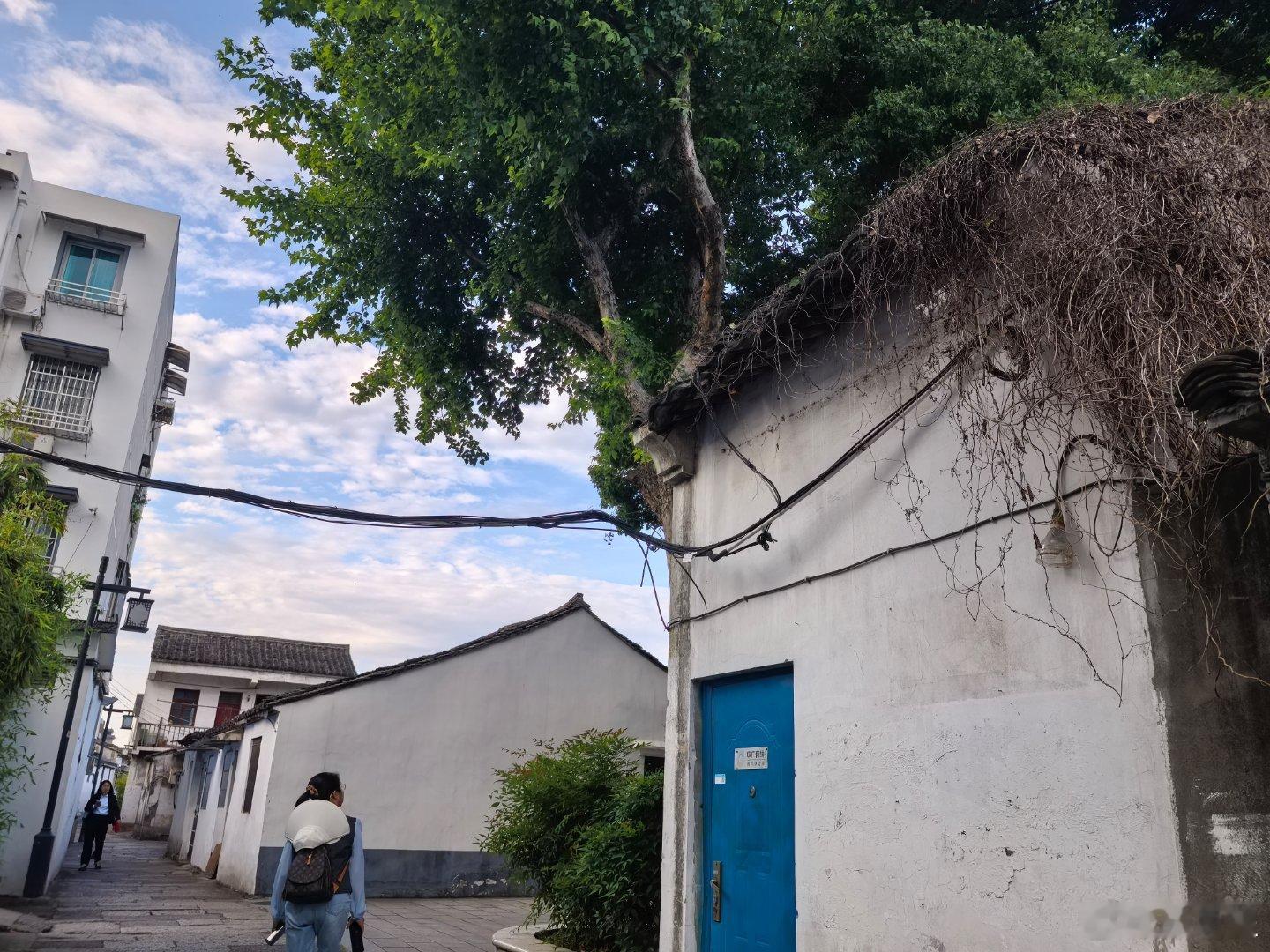和平弄，我的梦中情弄 