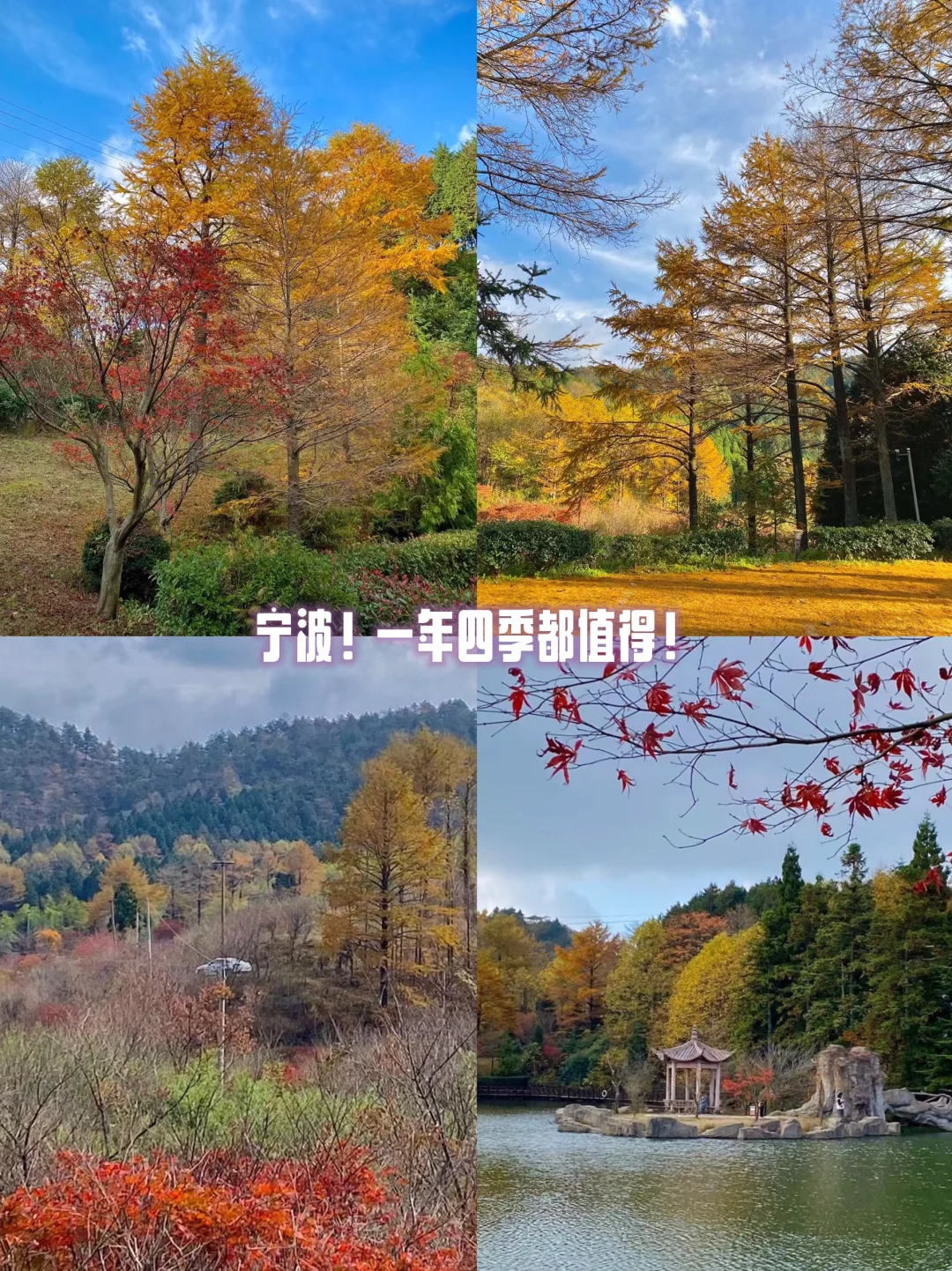 我爱宁波！隔三差五就想来呆两天！