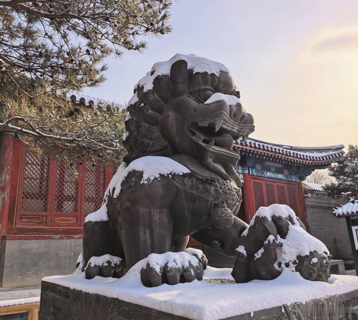 为了给你们搞到这组雪后最美颐和图，我都摔了一跤，这总得多来点那啥吧。拿去吧，不用