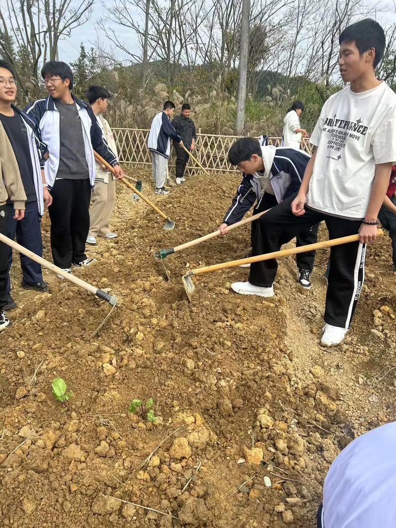 你觉得孩子应该从小参与社会实践吗 我觉得孩子从小参与社会实践太有必要了。我邻居家