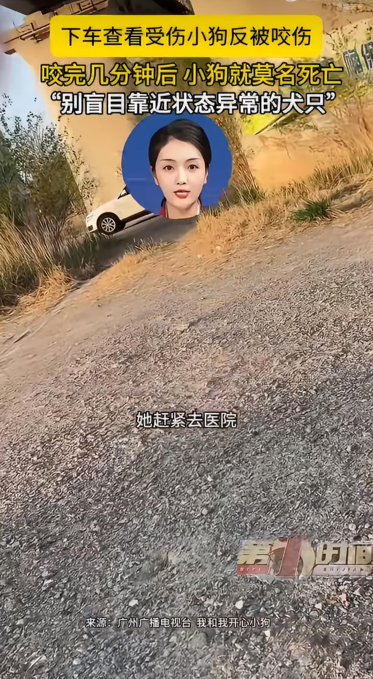 很多人看到狗咬人的新闻，心里都会咯噔一下，总觉得狂犬病离自己很远，只要打了疫苗就
