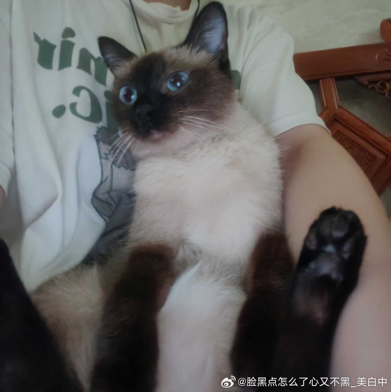 4185只黑脸想嗦的可以报名了 ​​​