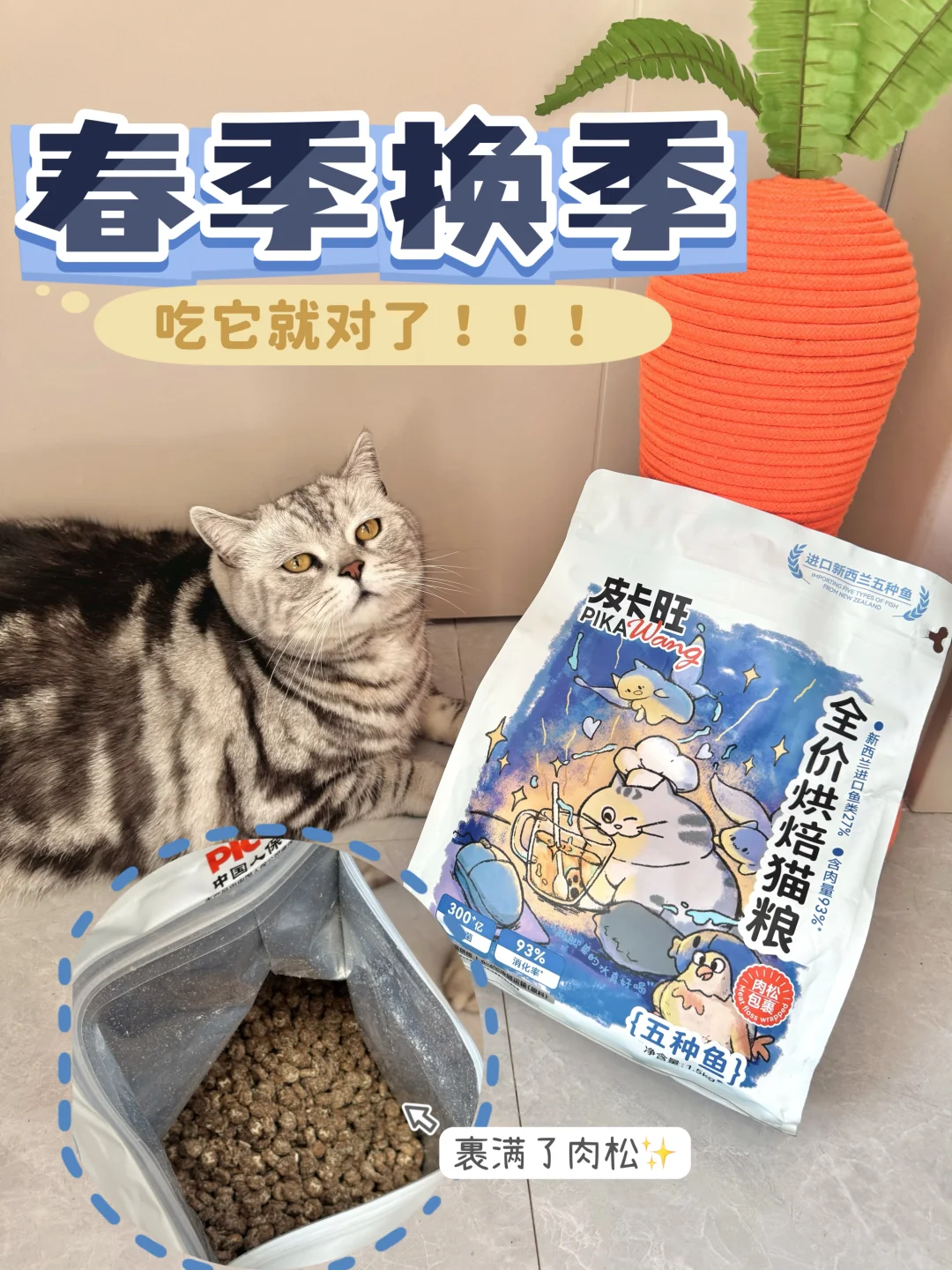 一换季就避免不了的👉🏻掉毛