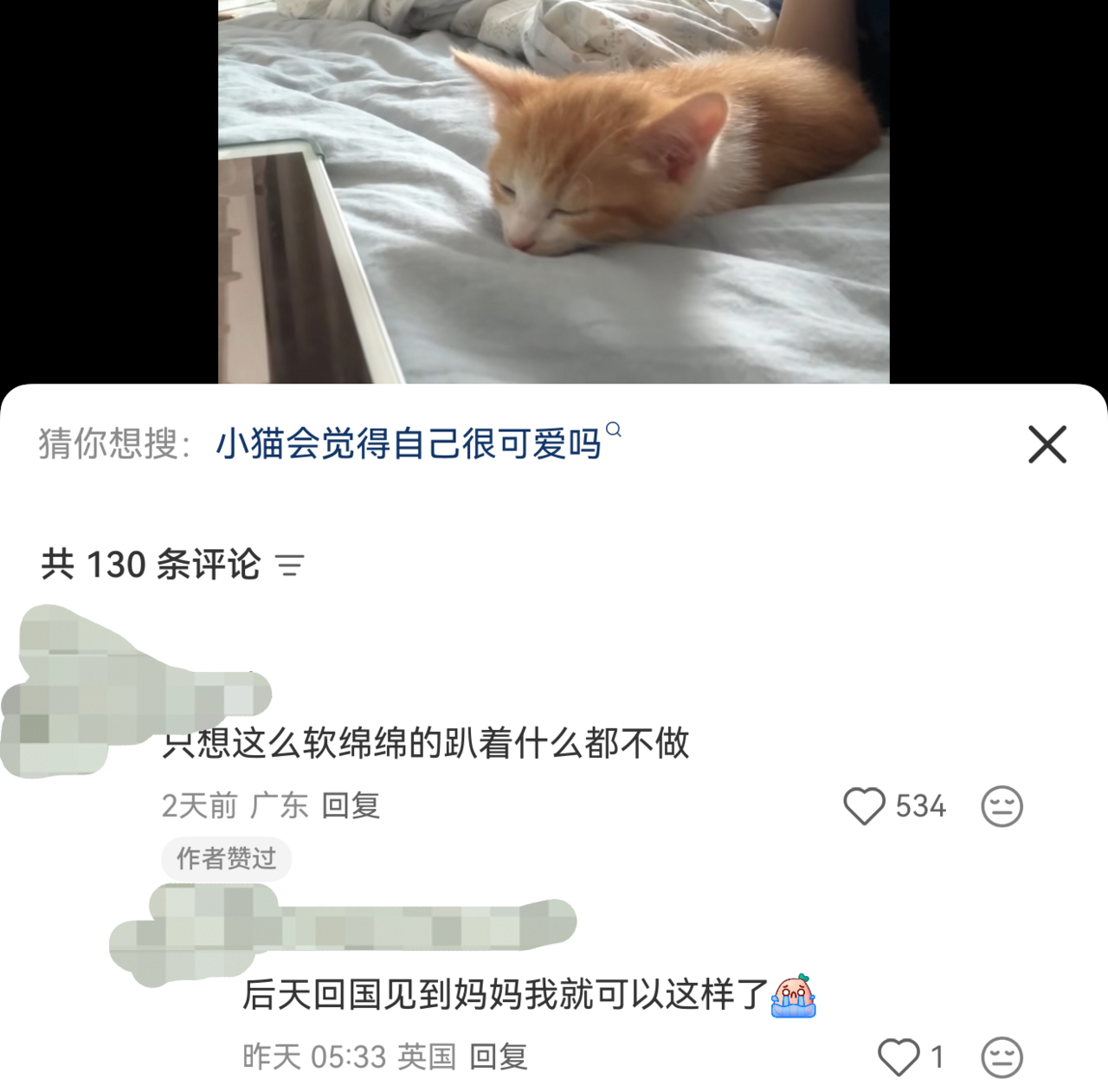 有时候真想说谁问你了11464
