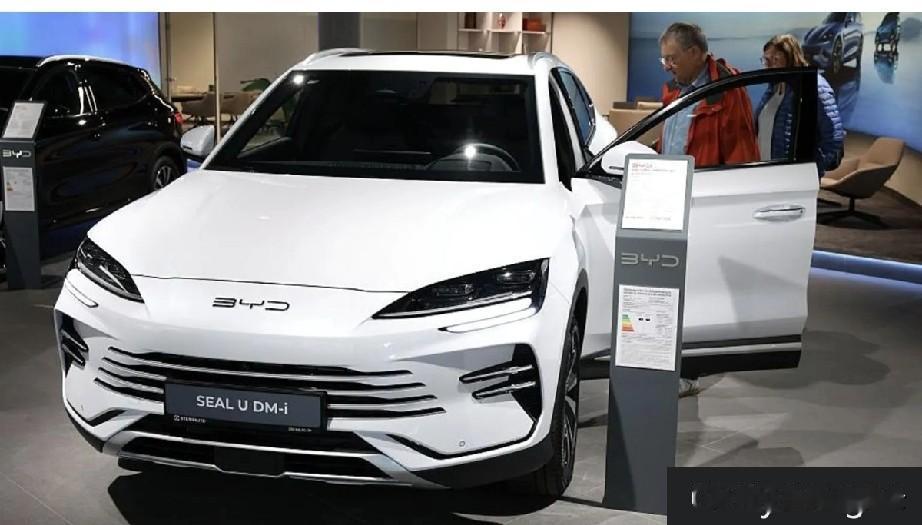 历史性反转！比亚迪2025年销量碾压特斯拉，登顶全球电动车销冠🏆
 
据BBC