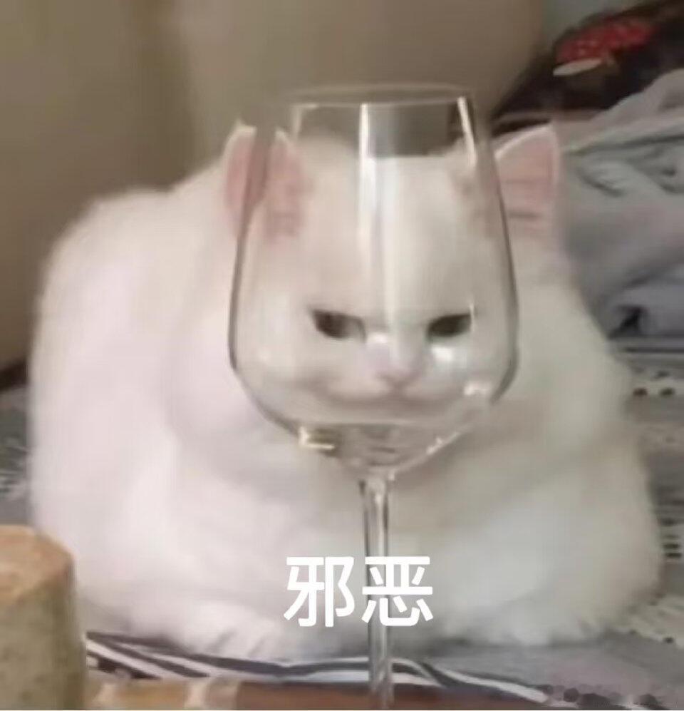 我出现了 