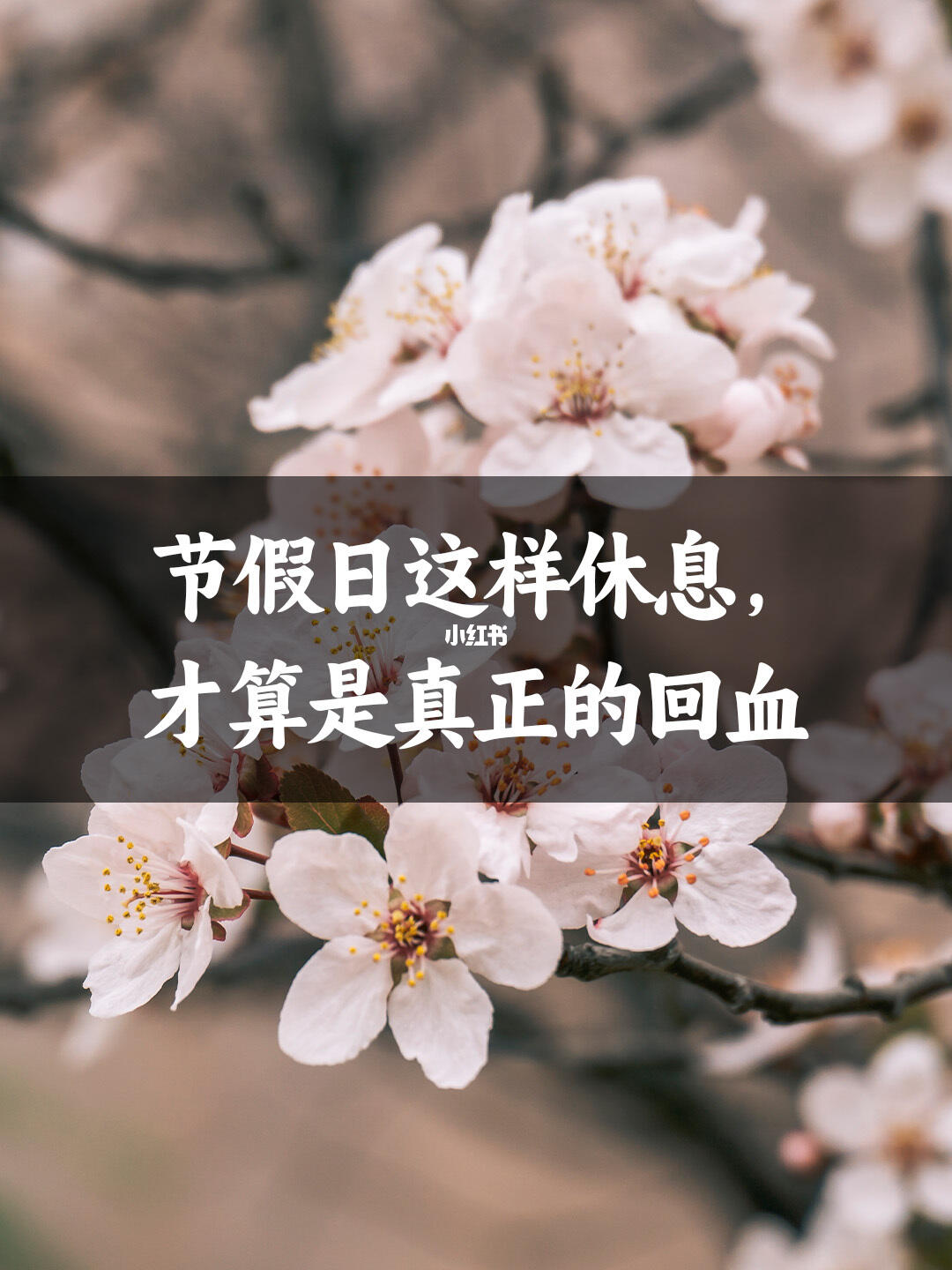 节假日这样休息，才算是真正的回血