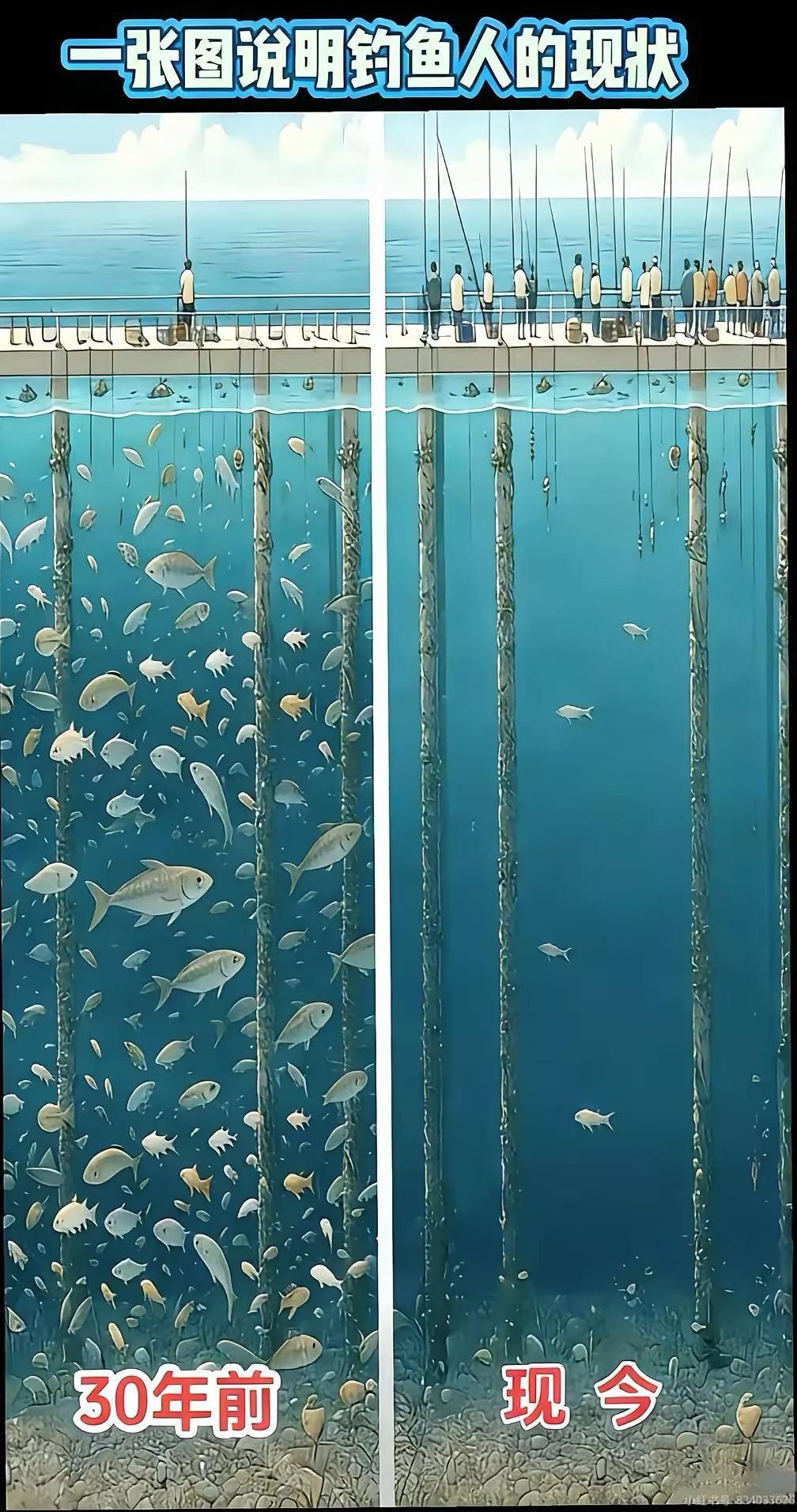 喜欢钓鱼 🎣 吗，请帮忙解释一下
.