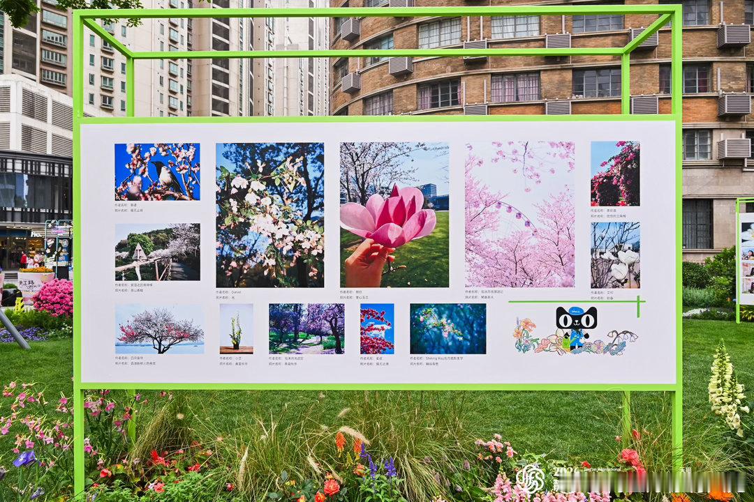 上海周末打卡清单火速更新！天猫花花世界万物生花线下展重磅来袭，属于上海人的专属春