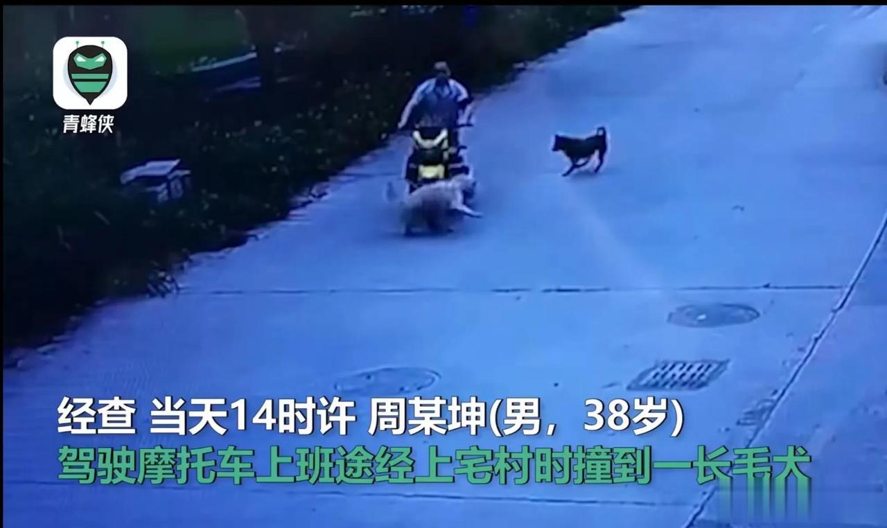 太嚣张了！男子自称开摩托车不小心撞到村长家的狗，结果被村长带治安队的人上门殴打，