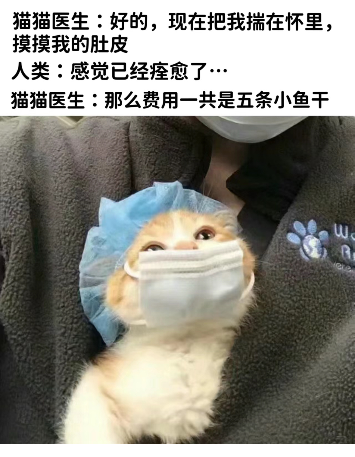 医生真是妙手回春，一副方子就搞定了 ​​​
