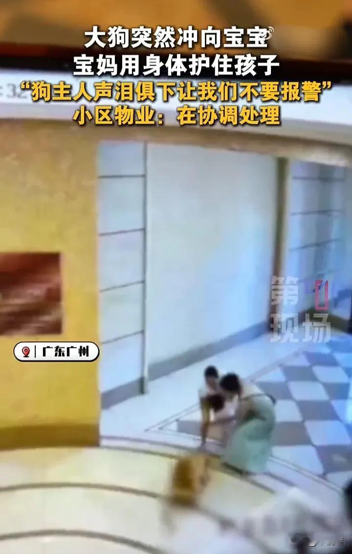 害人害己，这就是遛狗不拴绳的后果！近日，广东广州一位宝妈抱着1岁宝宝回家时，在小