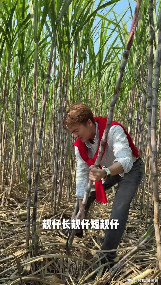 吴克群助农被印上奶茶小票躬身入局助农，吴克群用行动帮扶农户，让努力有回响。善意持