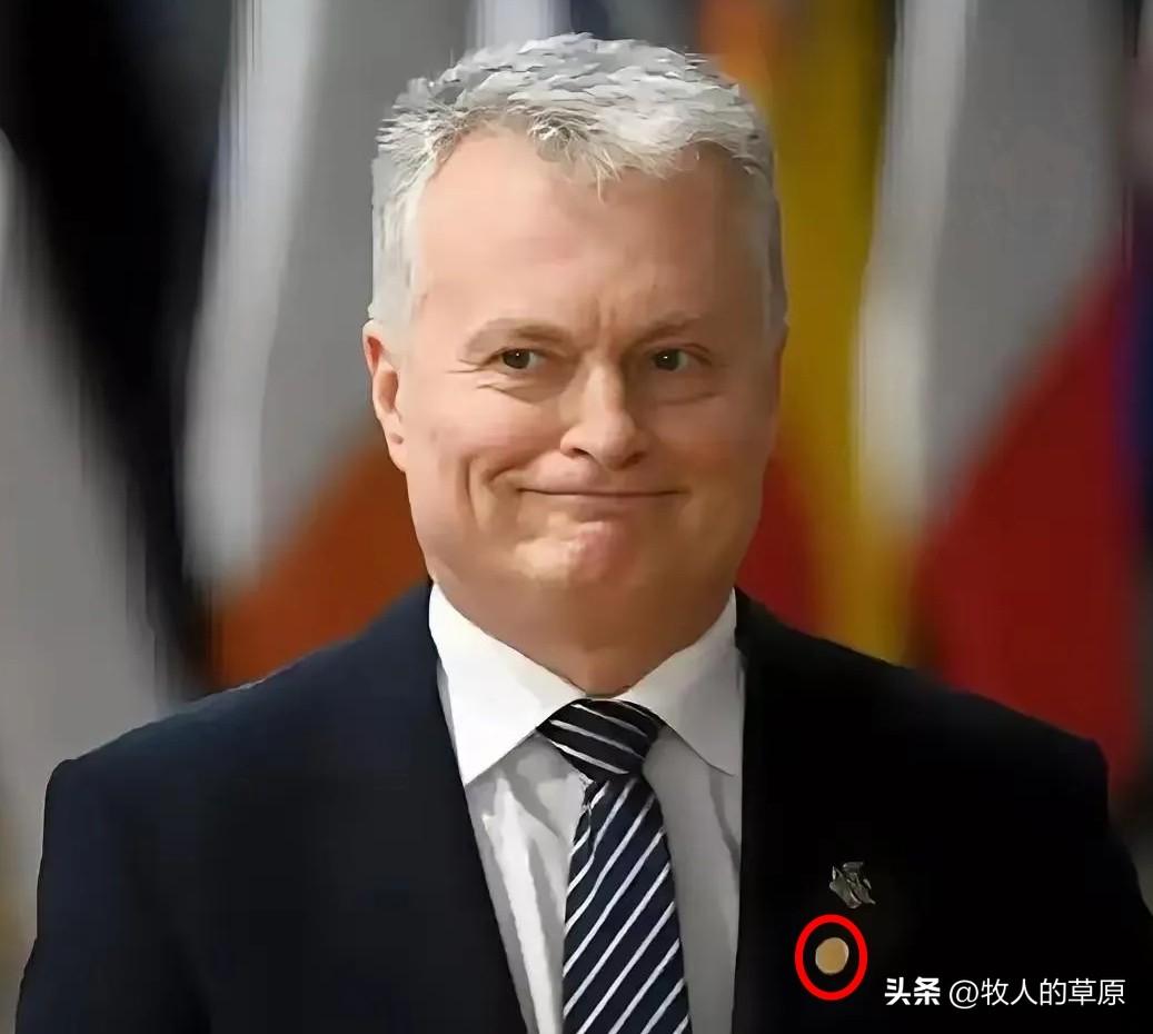 立陶宛这耳光真够响亮
这几年，立陶宛在国际舞台上折腾得不小。
 
回头一看，日子