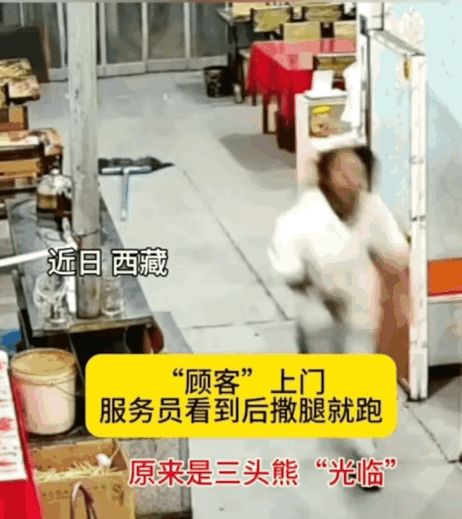 顾客上门扭头就跑？
原来
此顾客惹不起

西藏一饭店正常营业中，突然来了3个不速