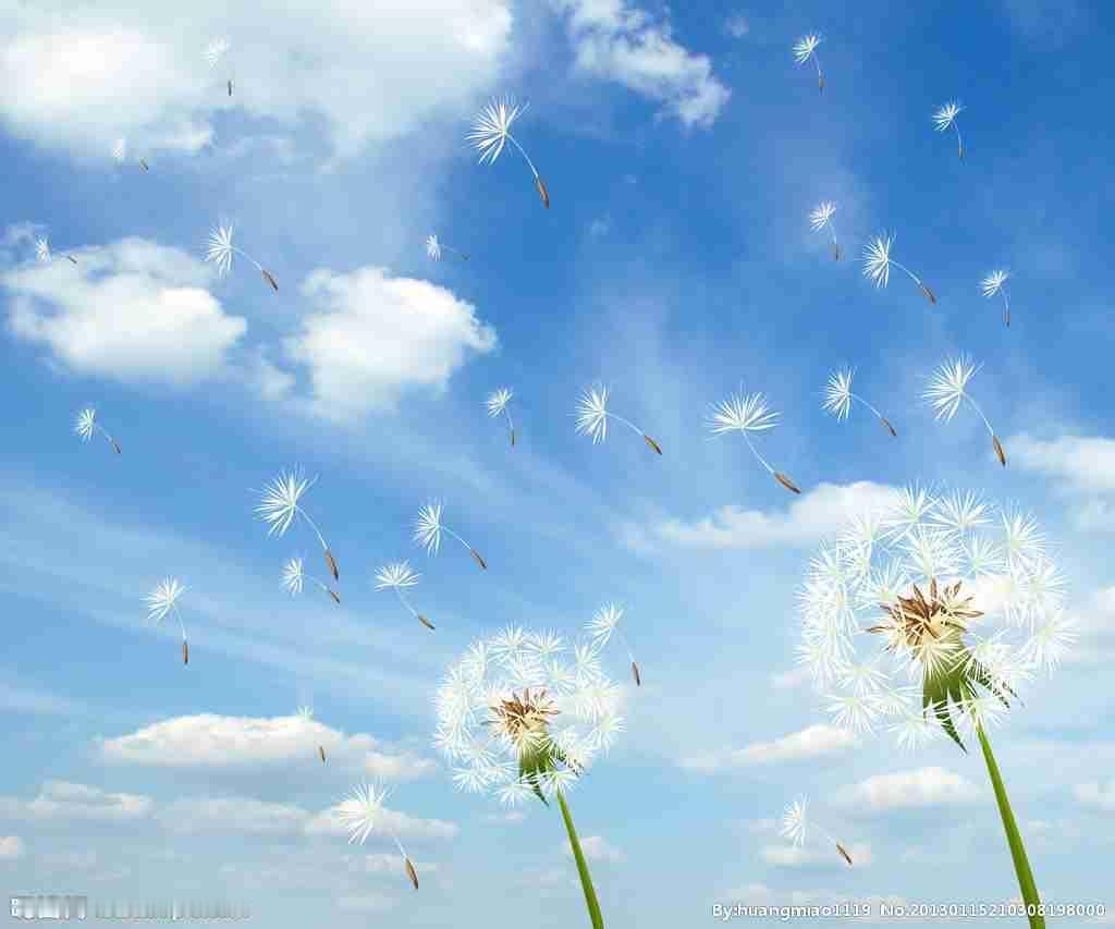 我的今日状态：😁轻松愉快
我这里的天气：🌤️多云