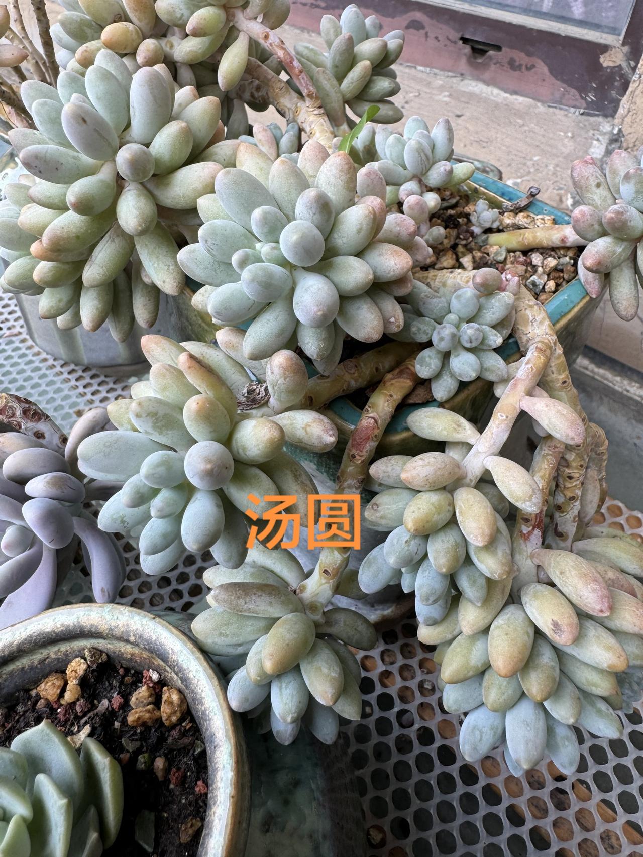 随随便便就长这么好看了，要是认真长那还得了