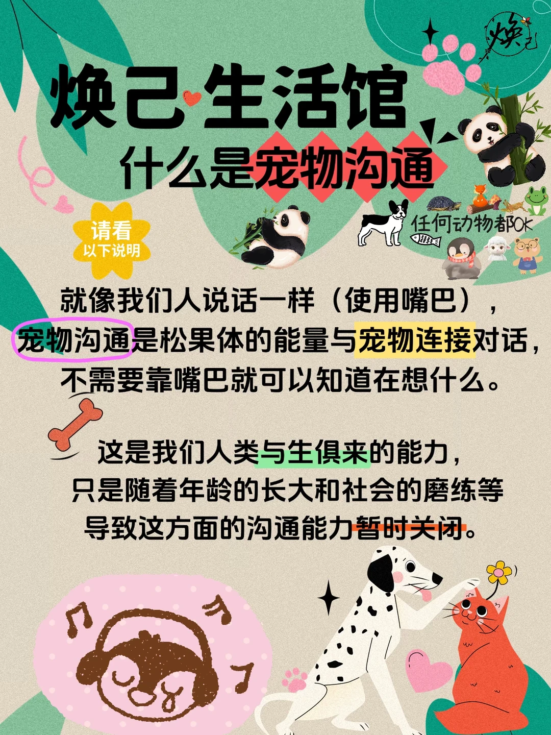 宠物沟通｜什么是宠物沟通呢？请看