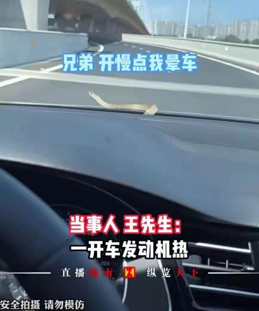 前阵子刷到个车主拍的视频，看得人心脏都要跳出来。车主正开着车在高速上跑，速度都提