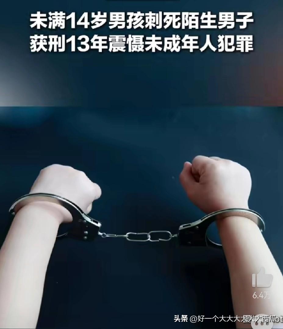 一个14岁的少年，
无缘无故的就对陌生人直接下杀手，
然后被判13年的刑期，
居
