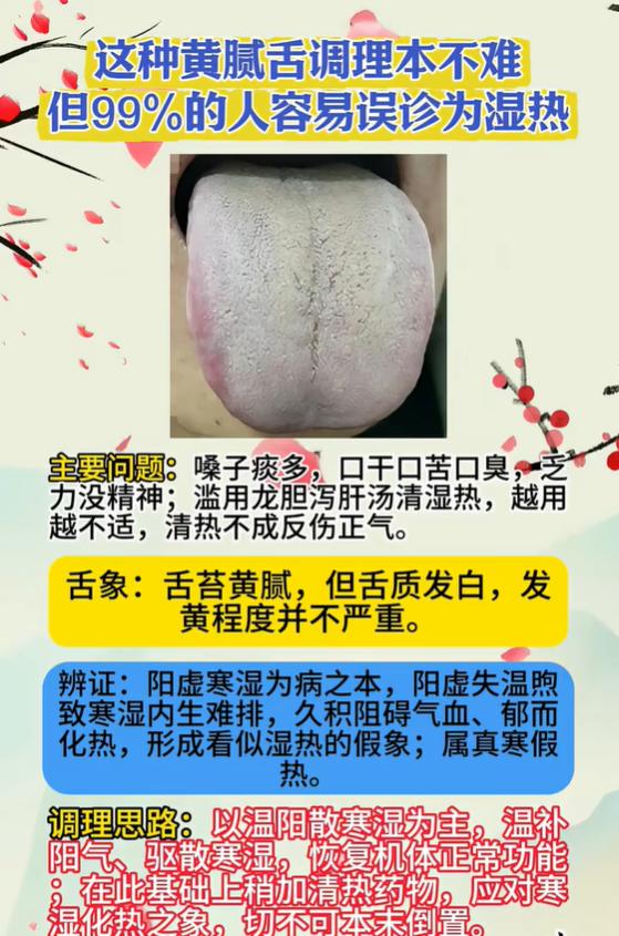 看着像湿热的黄腻舌，99% 的人辨错，根源其实是阳虚寒湿