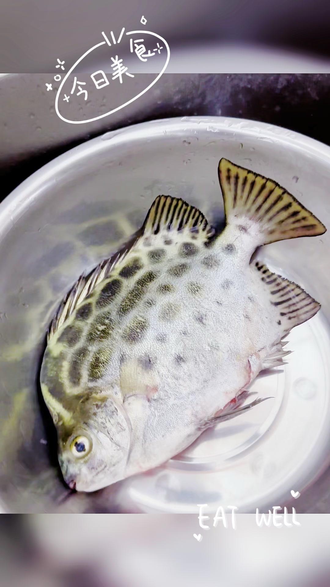 现钓海鱼，鲜掉眉毛！刚从海里钓上来的海鱼，带着点咸湿海风的味道，简单煎一下就香到