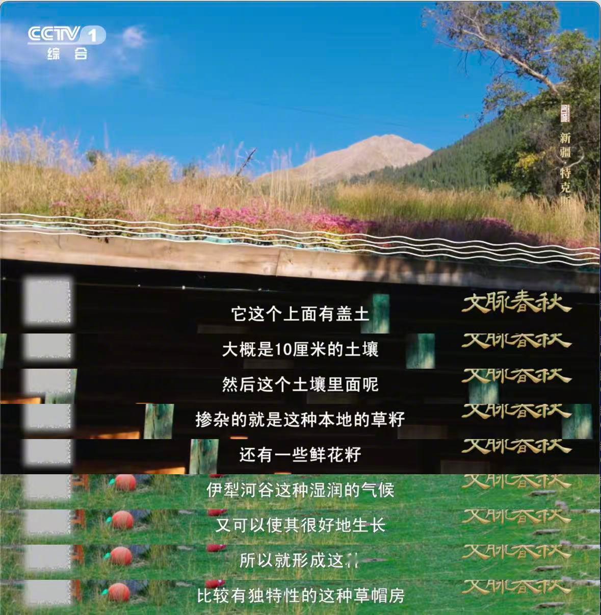 新疆的木屋戴着花草帽在新疆遇到了会开花的屋顶 谁懂啊！新疆的木屋居然戴着会开花的