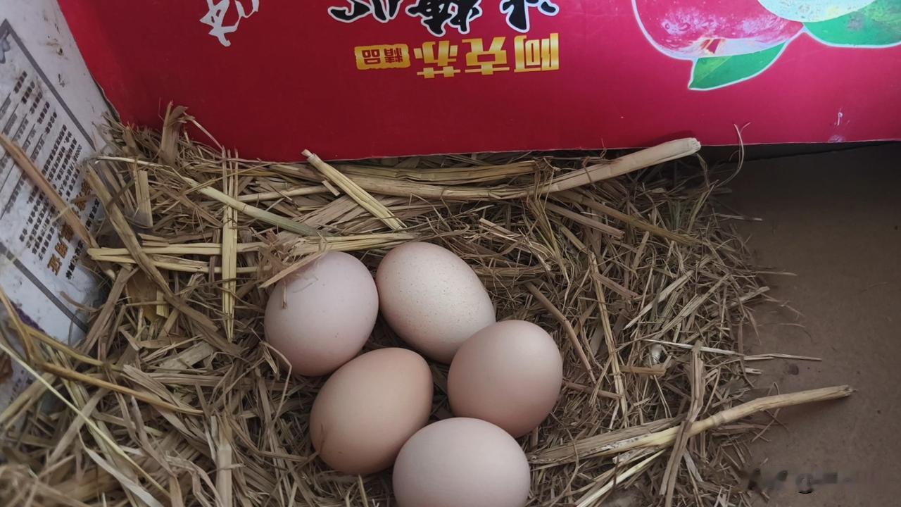 农村的土鸡蛋一般是论个卖的，很少论斤的。
以斤卖还是八十年代计划经济的时候，供销