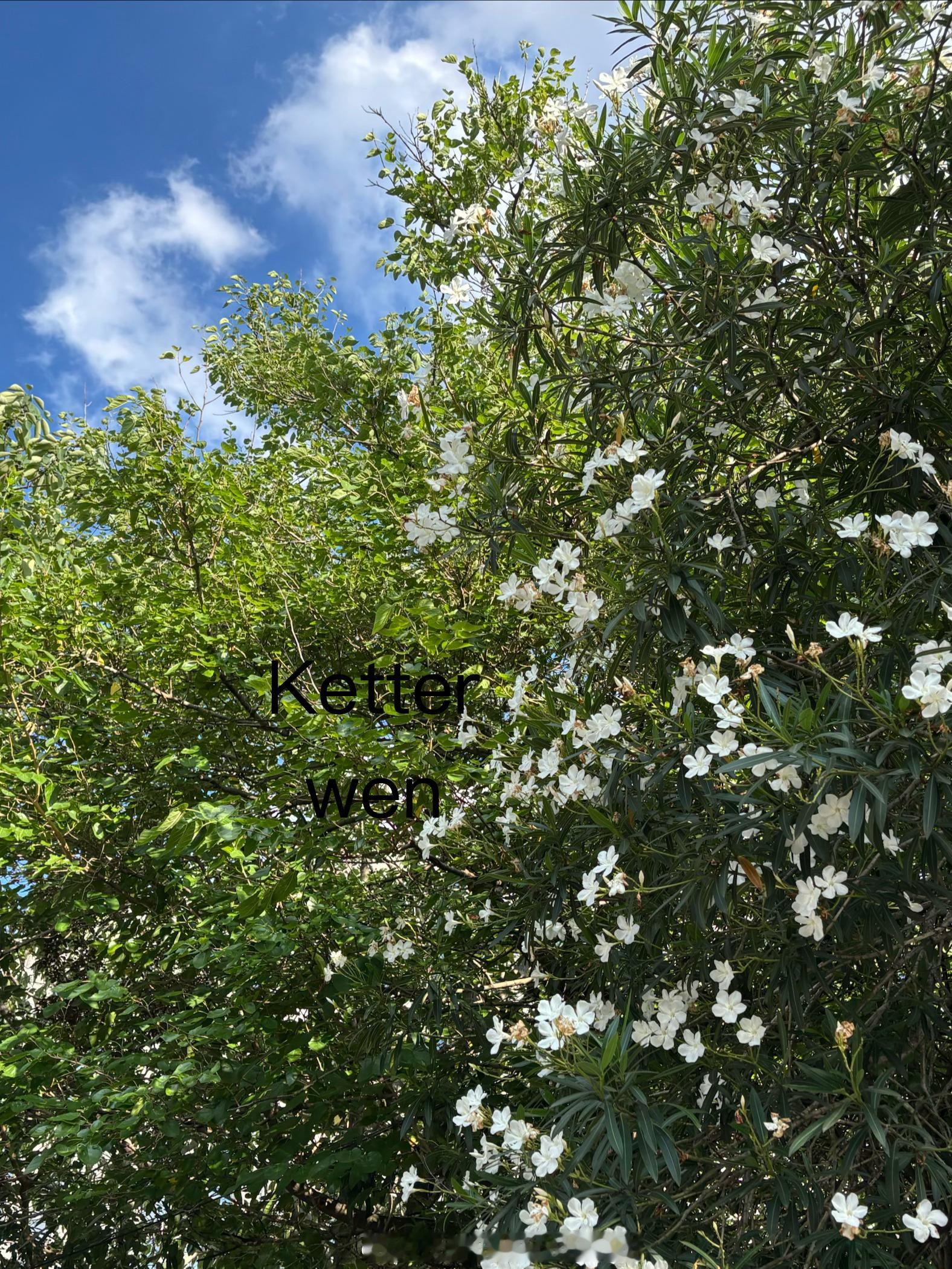 六月十二の💐  专栏 · ketterwenの騎行紀錄