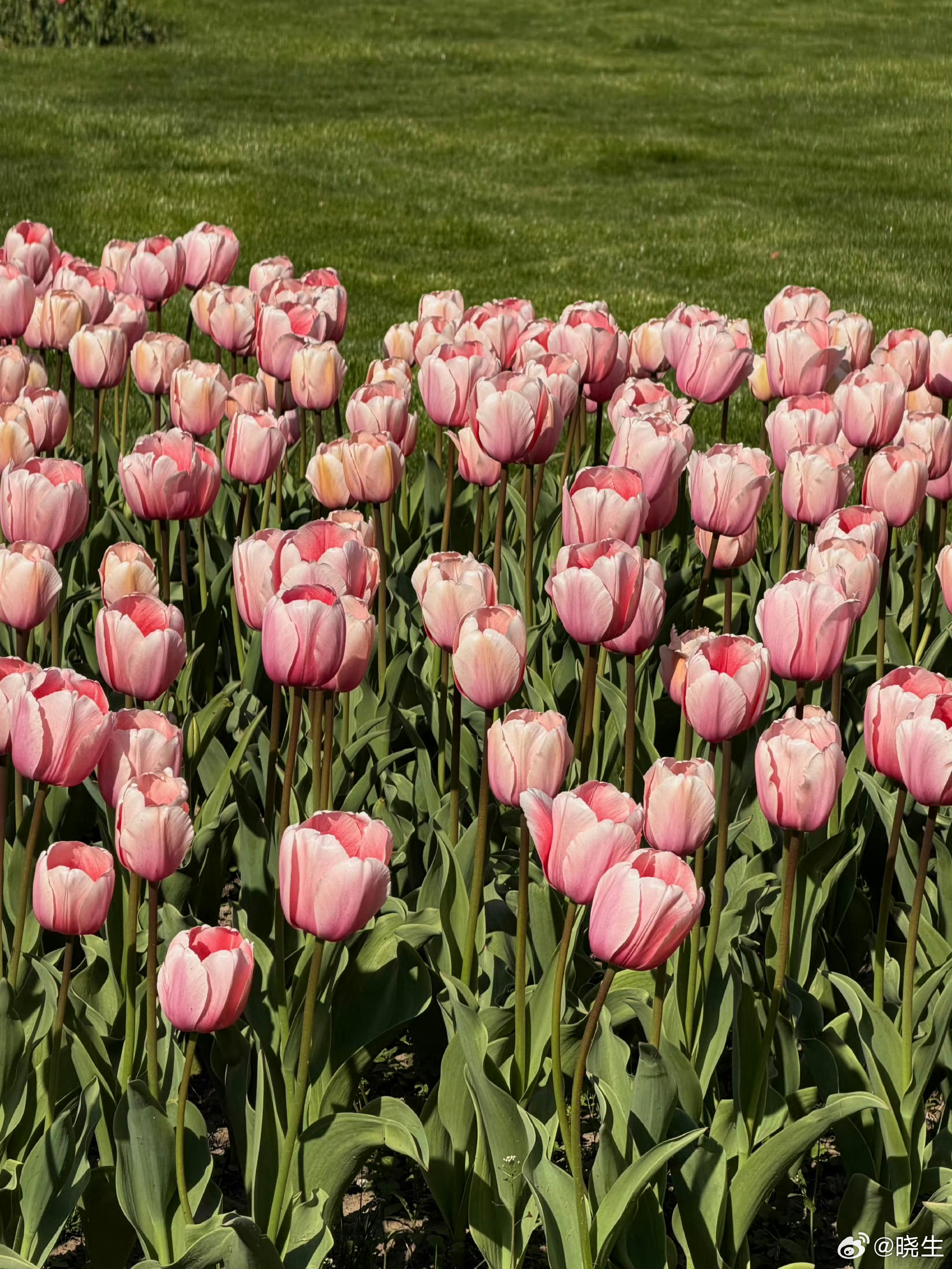 “他说会负责，我才决定生下来。”听到这个话的时候…我已经开始无语了😑这个来访女