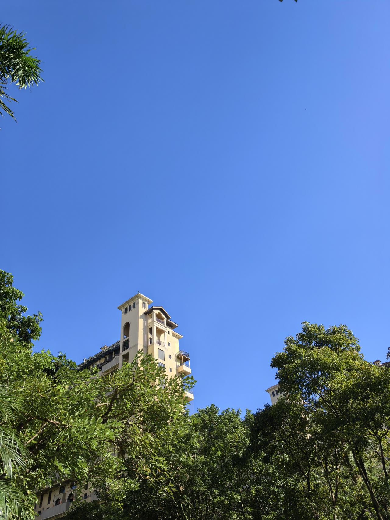 随手拍下一张天空照在小区看天空，天很蓝，树木更青翠，高楼直插青天。
