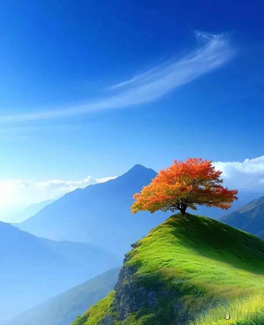 一位经济学家说：“看动物世界，你会发现一个有趣的现象：食草动物一直在低头吃草，永