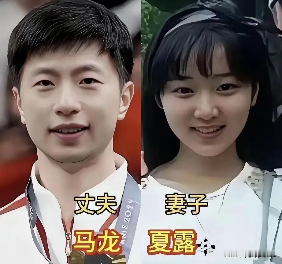 马龙的妻子很优秀。
刘国梁的妻子很优秀。
王皓的妻子很优秀。
张怡宁的丈夫很优秀