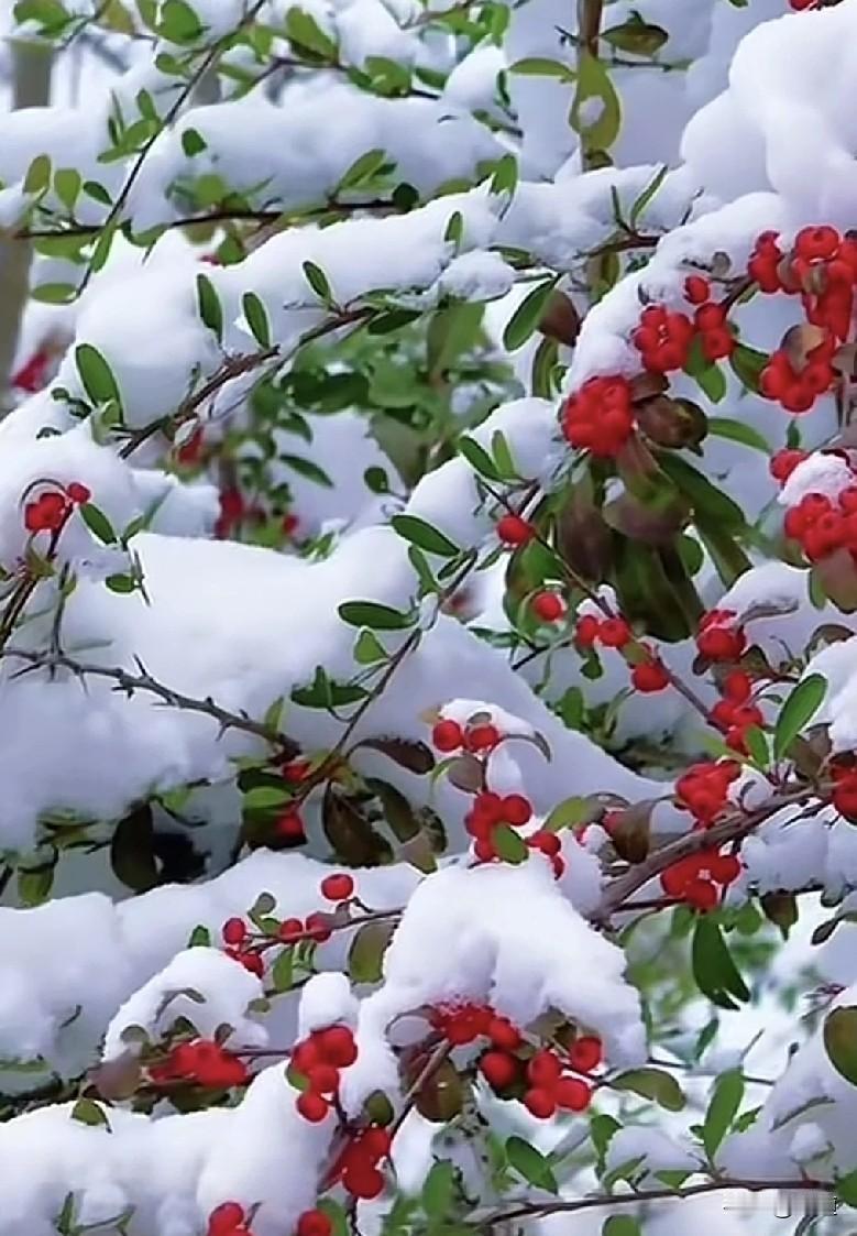人如果不改变自己，提升修炼自己，没有应对问题，解决问题的能力，就只能在烦恼中生存