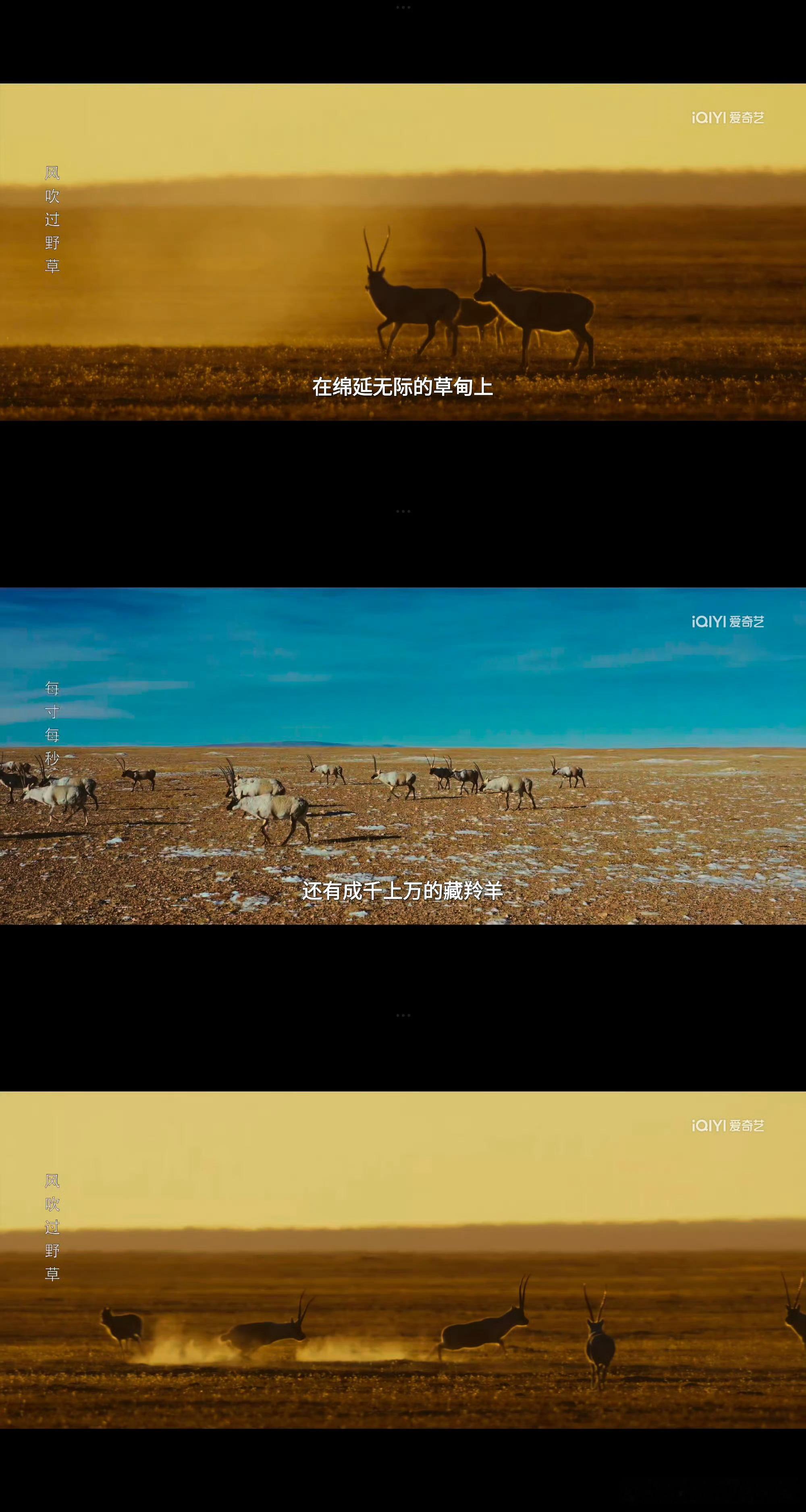 看完生命树才懂什么是山河辽阔被确诊为生命树后遗症被《生命树》狠狠种草青海！壮阔风